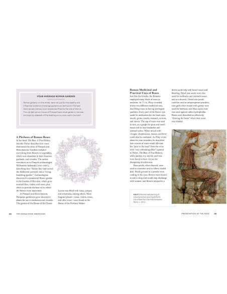 Rosa: The Story of the Rose | THE YALE UNIVERSITY PRESS e