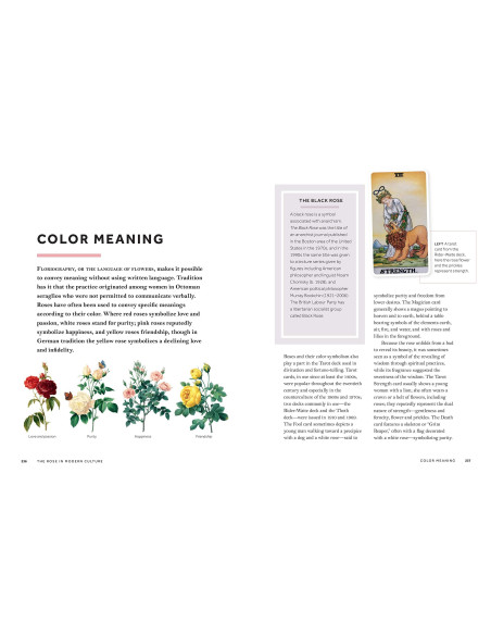 Rosa: The Story of the Rose | THE YALE UNIVERSITY PRESS f