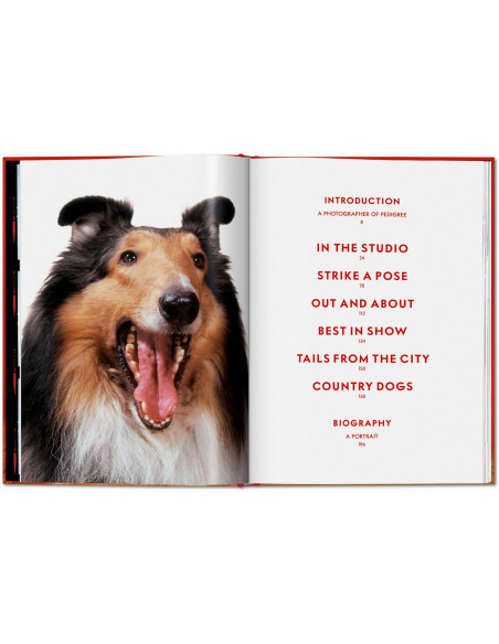 Walter Chandoha. Dogs. Photographs 1941–1991 | TASCHEN