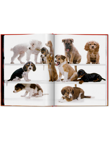 Walter Chandoha. Dogs. Photographs 1941–1991 |...