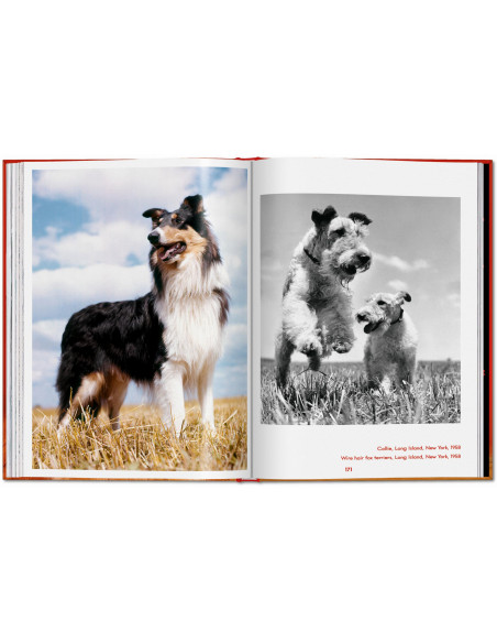 Walter Chandoha. Dogs. Photographs 1941–1991 | TASCHEN