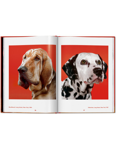 Walter Chandoha. Dogs. Photographs 1941–1991 |...