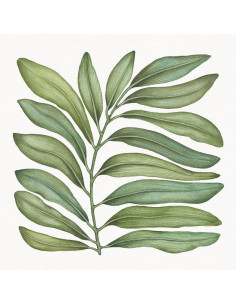 Lněný ubrus s potiskem Tamarindo 170x170 | TESSITURA TOSCANA TELERIE