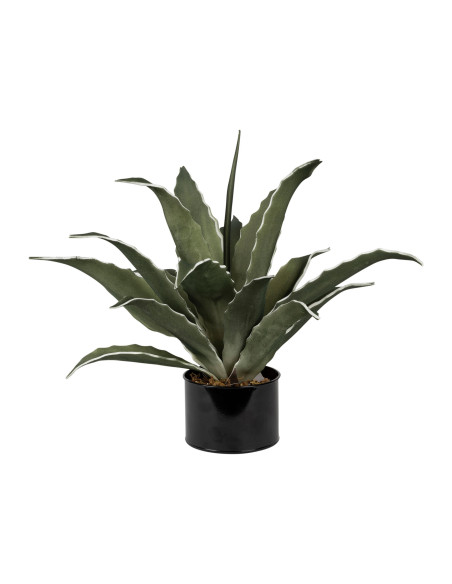 Umělá květina - agáve 52cm, zelená | CÔTÉ TABLE