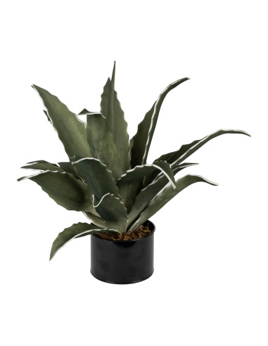 Umělá květina - agáve 52cm, zelená | CÔTÉ TABLE c