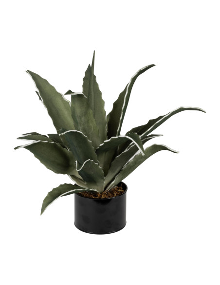 Umělá květina - agáve 52cm, zelená | CÔTÉ TABLE c