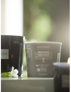 Bytový parfém Teck and Tonka, náhradní náplň do svíčky 450g | ESTEBAN 2