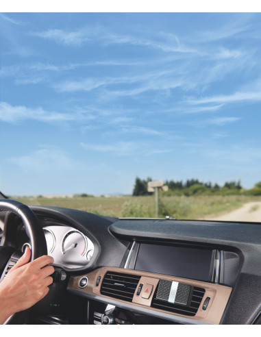 Difuzér do auta Citronnelle & Menthe | ESTEBAN e