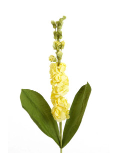 Umělá květina v žluté a zelené kombinaci, v.73cm | LIGHT & LIVING 2