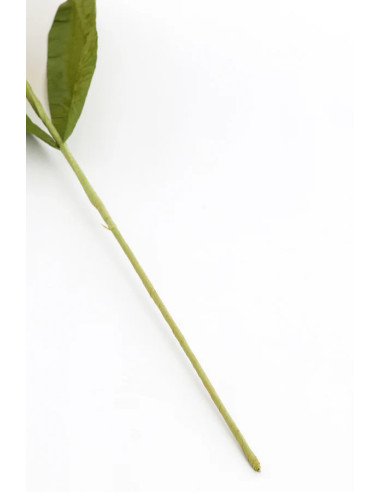 Umělá květina v žluté a zelené kombinaci, v.73cm | LIGHT & LIVING b