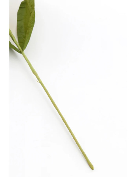 Umělá květina v žluté a zelené kombinaci, v.73cm | LIGHT & LIVING b