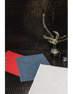 Koupelnová předložka Enzo 54x64, Tempete| VIVARAISE-1 2