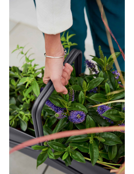 Flowerpot long Basket| FERMOB - 28