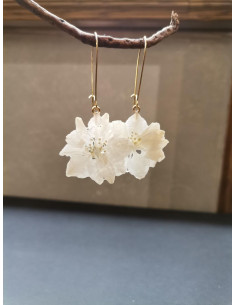 Náušnice s pravým květem dephinie | PIOU PIOU