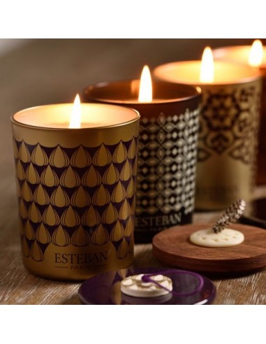 Bytová vůně Figue Noire, dekorativní vonná svíčka | ESTEBAN-3