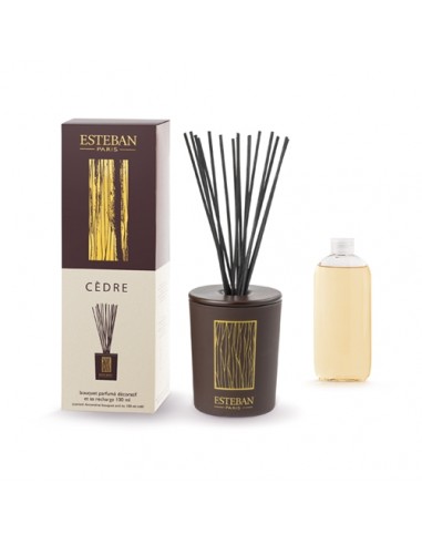 Cedr malá sada 100ml | ESTEBAN-1