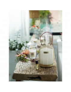 White Cotton - Fragrant Oil | ESTEBAN - 1 2