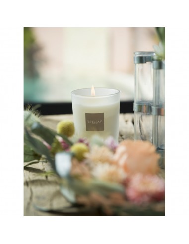 Bílá bavlna - vonná svíčka | ESTEBAN-3