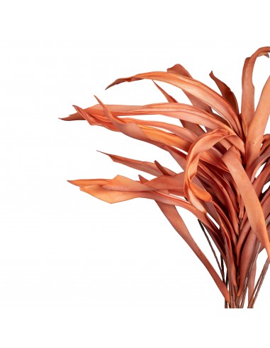 Umělá květina Aralia 124cm, růžová | CÔTÉ TABLE-3