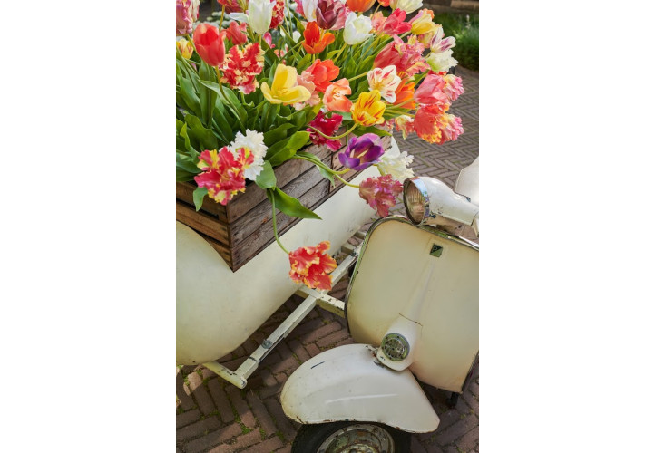 Umělé květiny Silk-ka