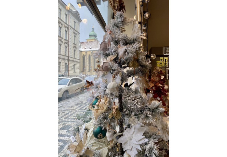 Garance doručení zboží do Vánoc 2023