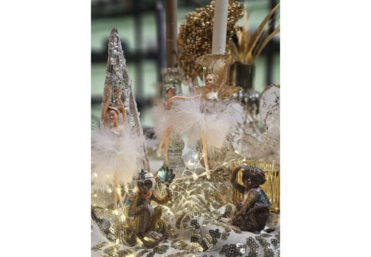 Vstupte do nového roku 2024 s lehkostí baletky