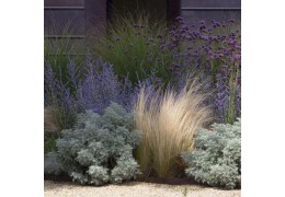 Jak jsem začala zahradničit