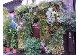 Pařížské zahrady jinak, než jak je znáte z průvodců